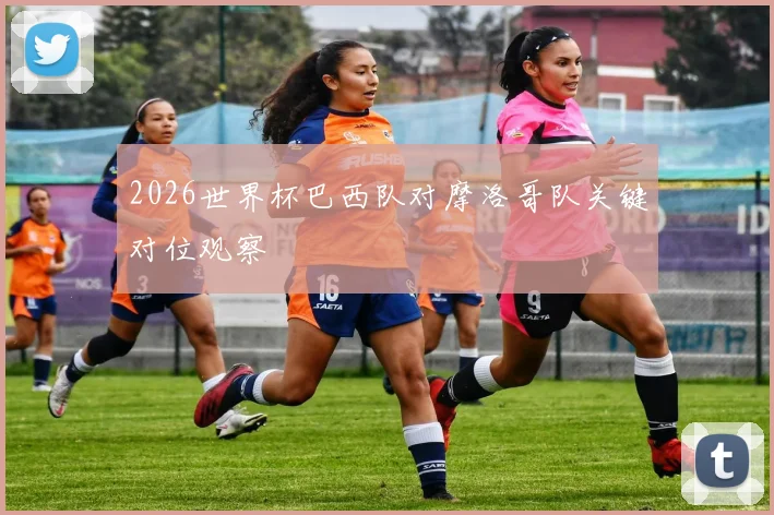 2026世界杯巴西队对摩洛哥队关键对位观察