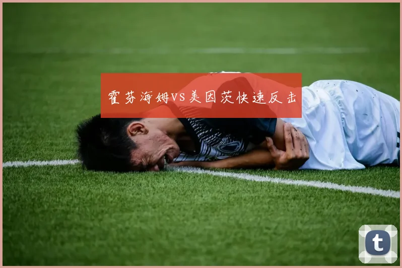霍芬海姆vs美因茨快速反击