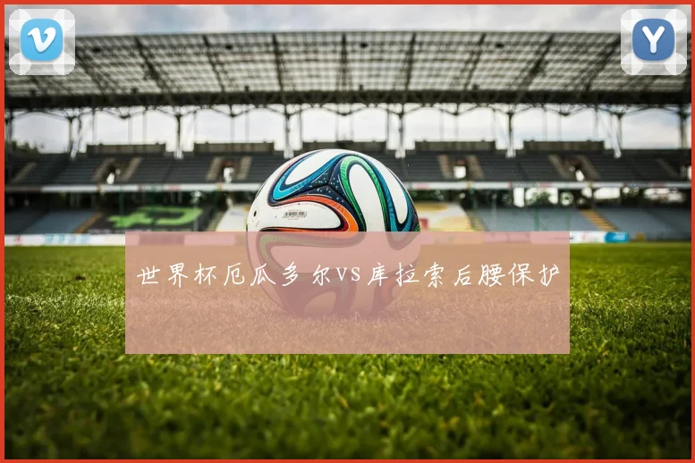 世界杯厄瓜多尔vs库拉索后腰保护